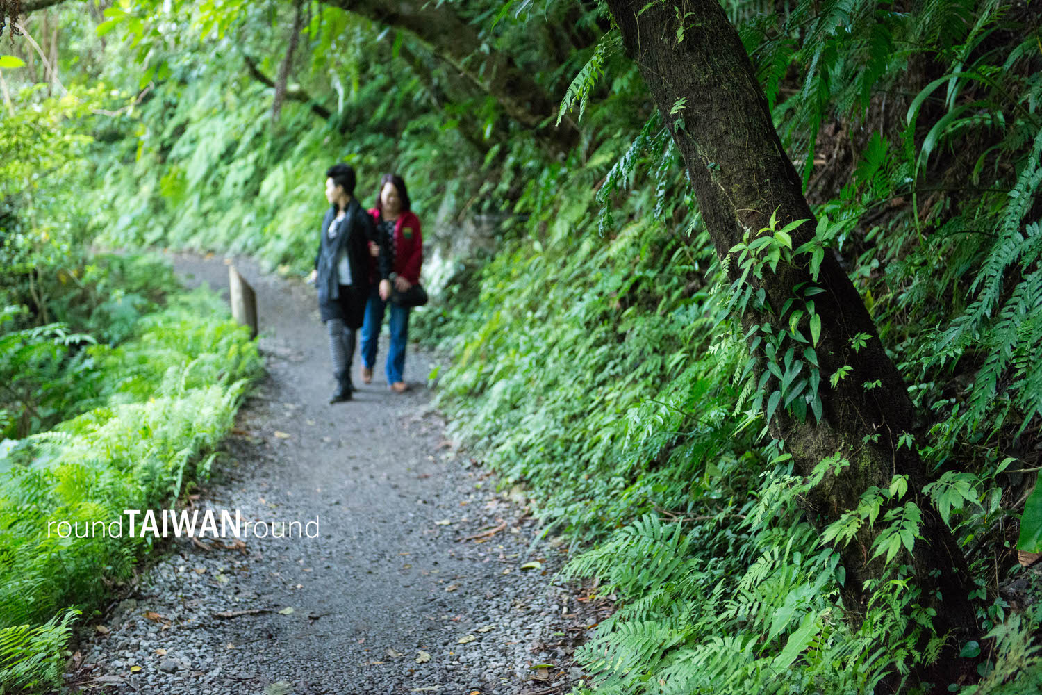 Linmei_Shipan_Trail_________-002.jpg