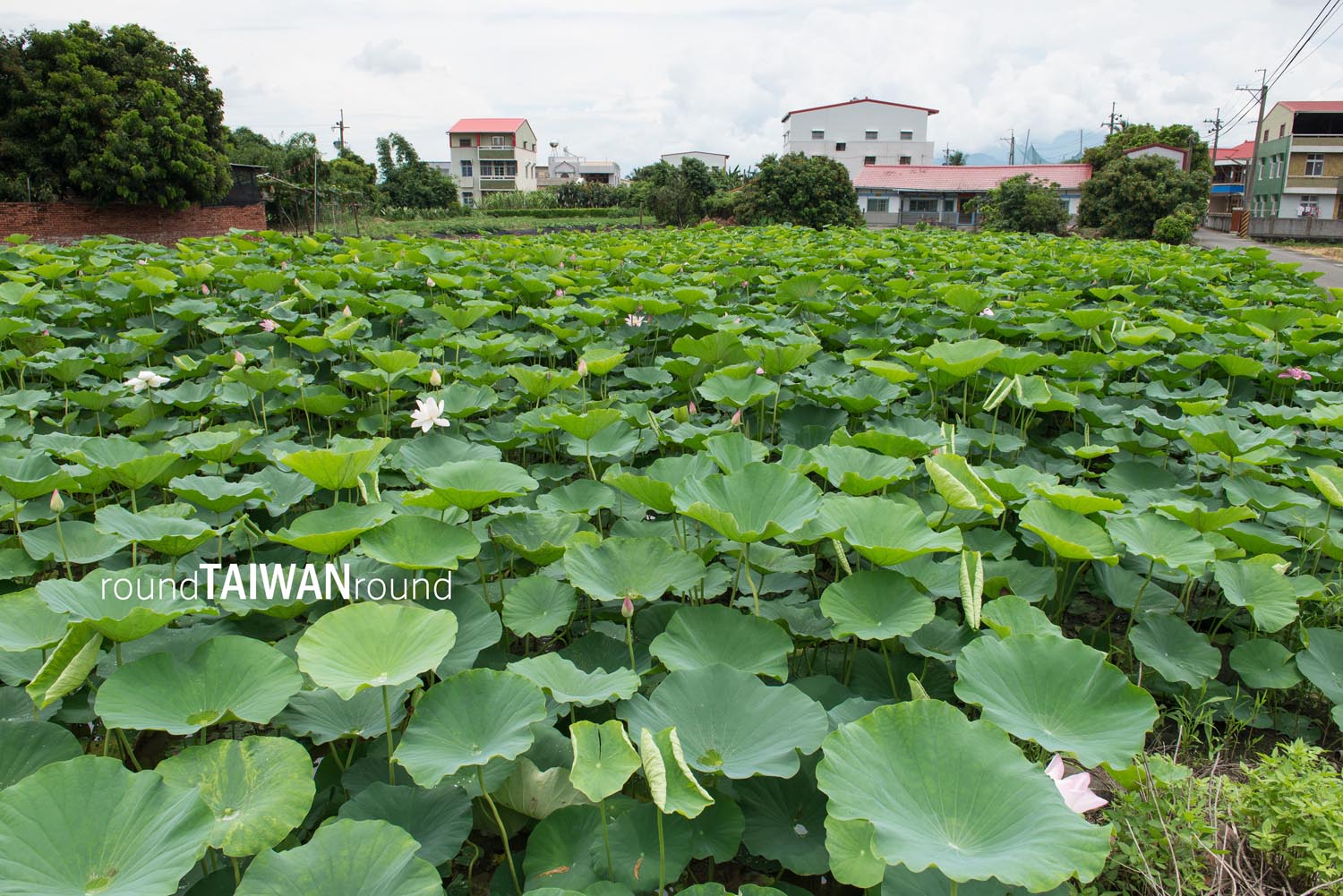 Wushulin_Recreation_Park__________-001.jpg
