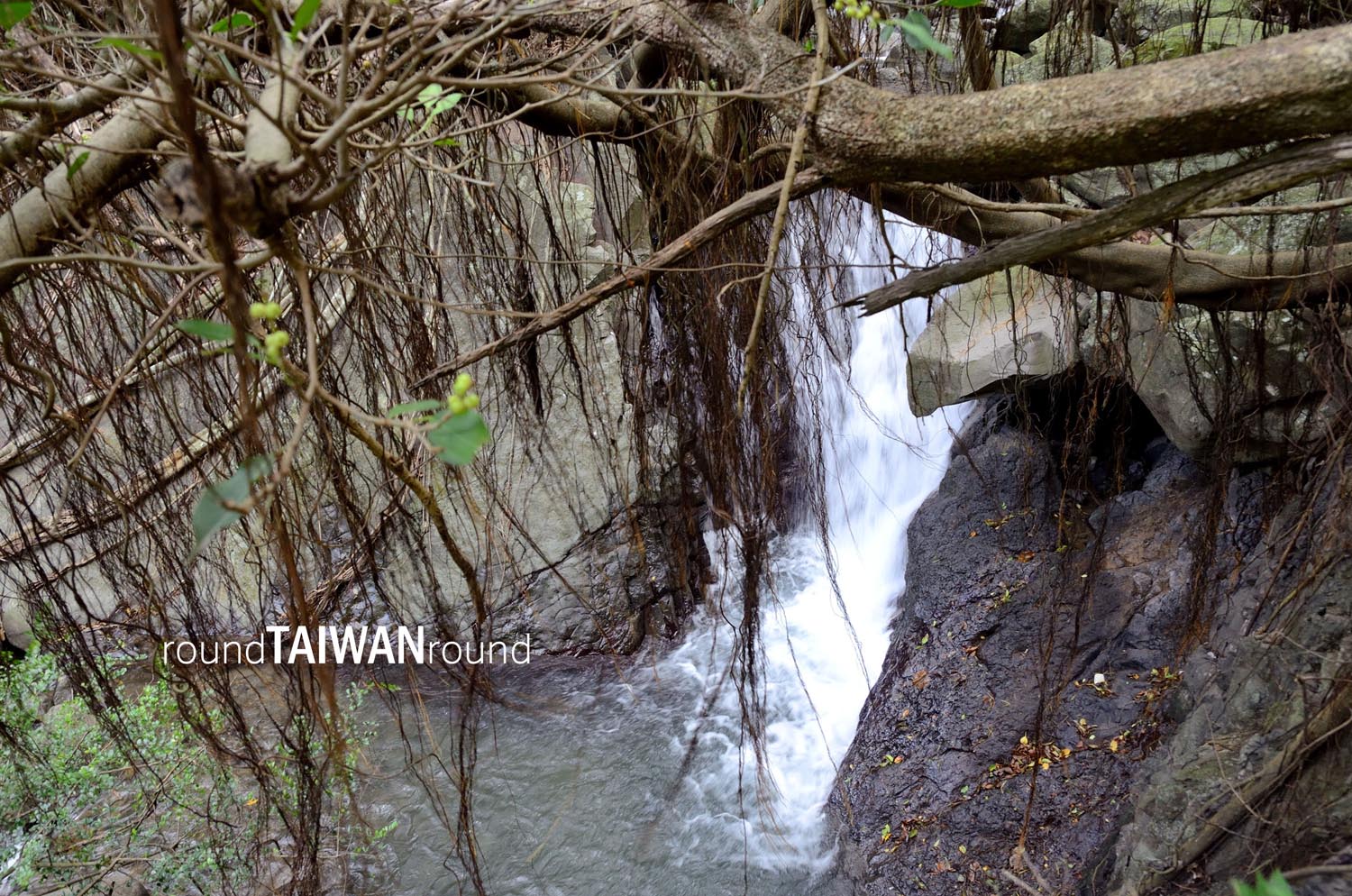 Lilongshan_Hiking_Trail__________-015.jpg