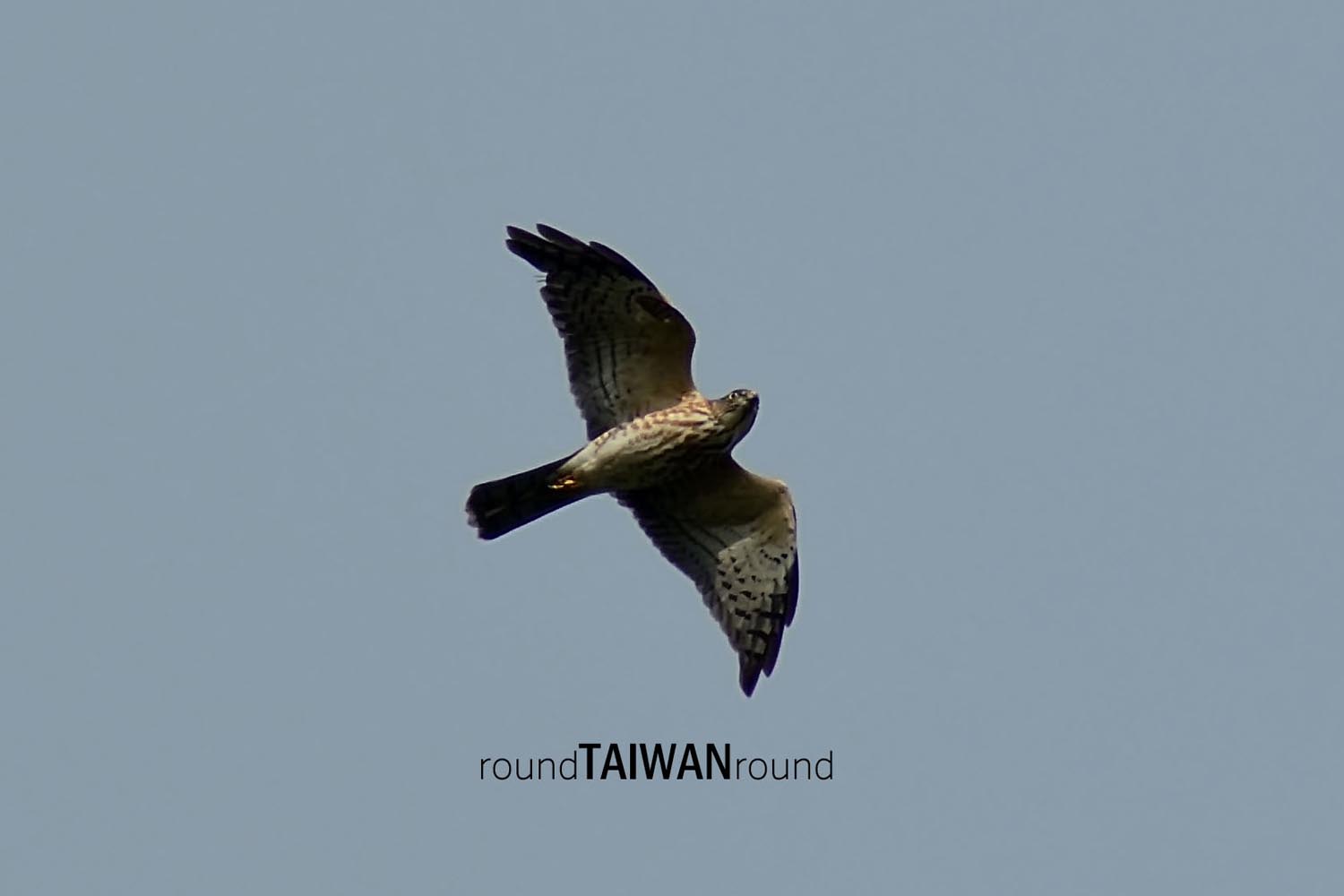 Sheding_Nature_Park_________-025.jpg