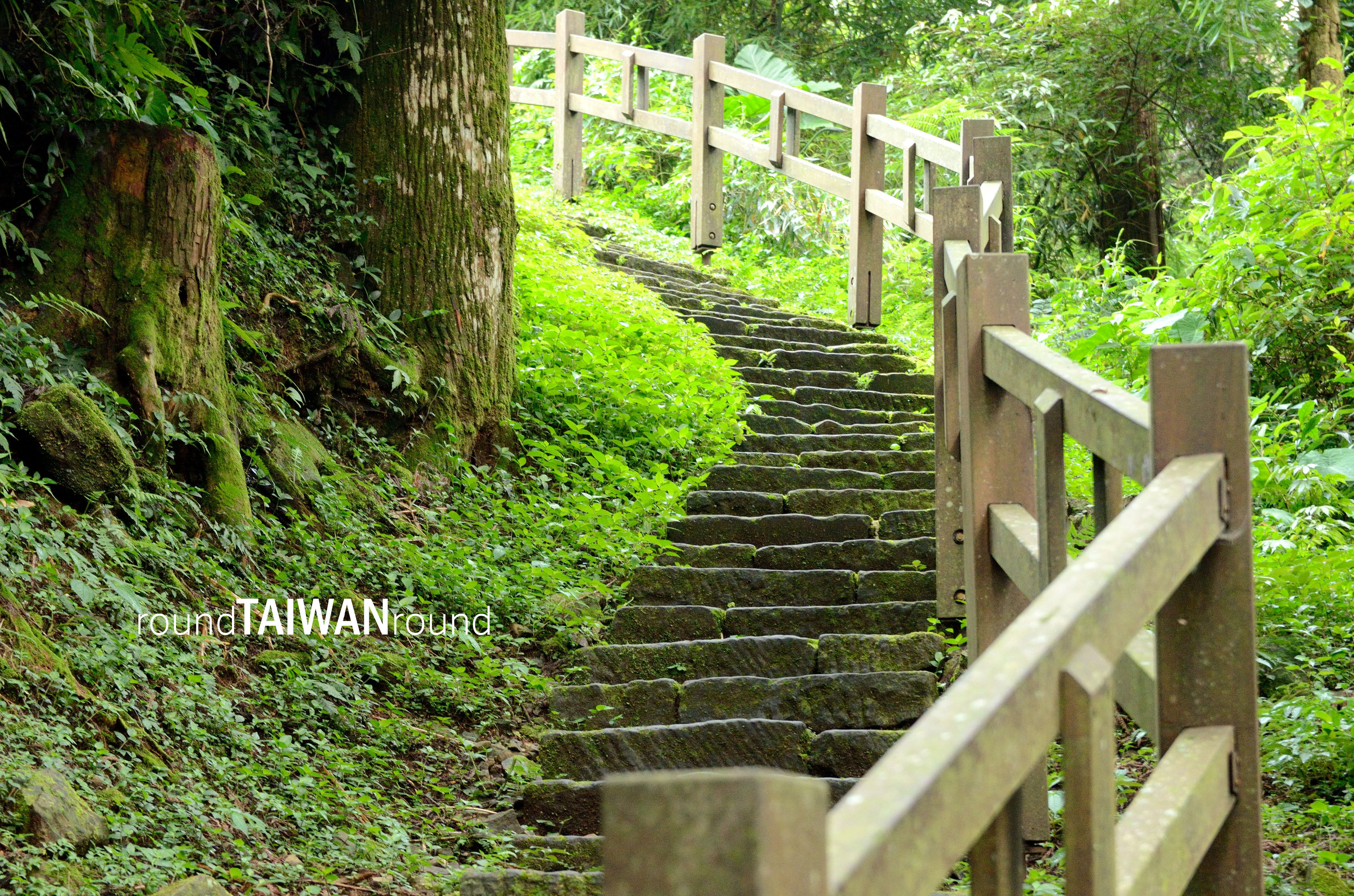 Fenqihu_Forest_Trail__________-019.jpg