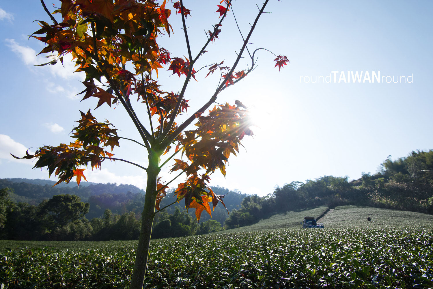 Shengle_Farm_______-053.jpg