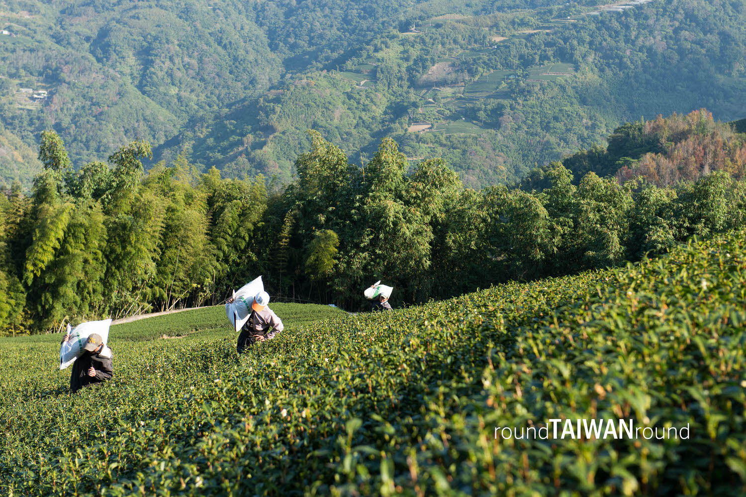 Shengle_Farm_______-046.jpg