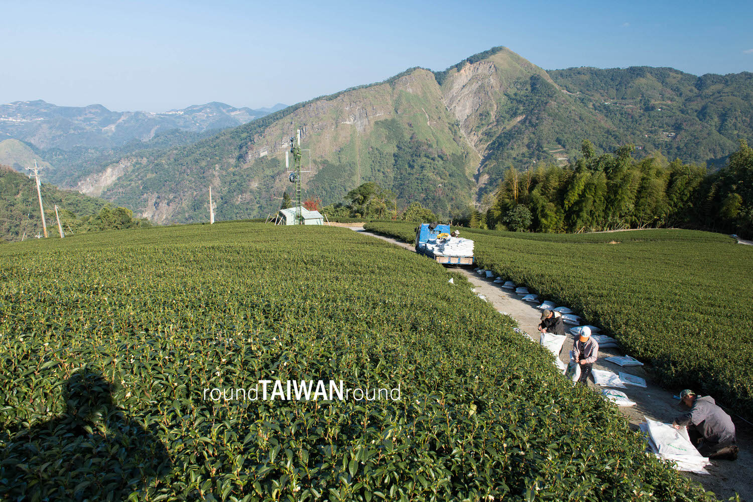 Shengle_Farm_______-043.jpg
