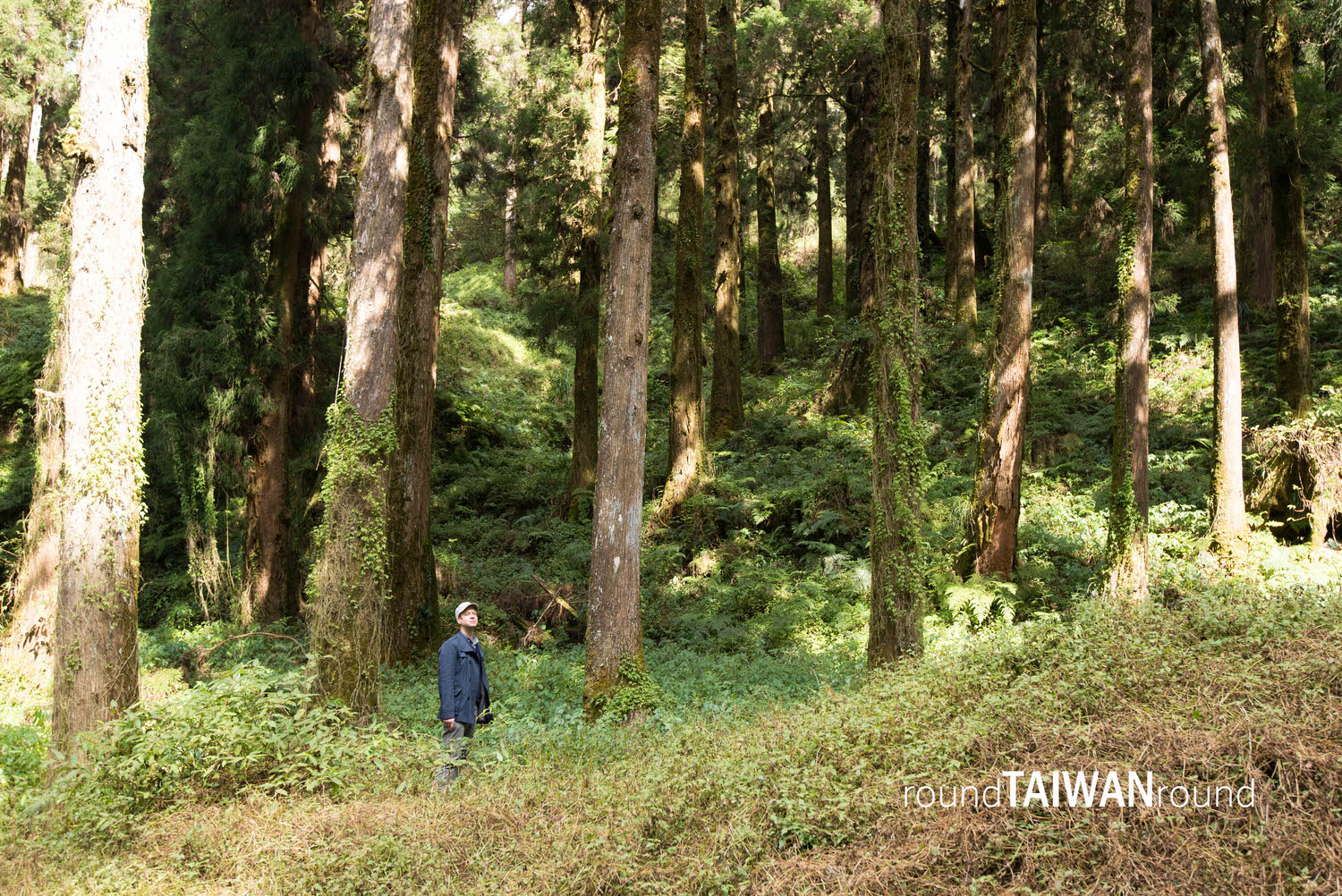 Tashan_Trail_______-013.jpg
