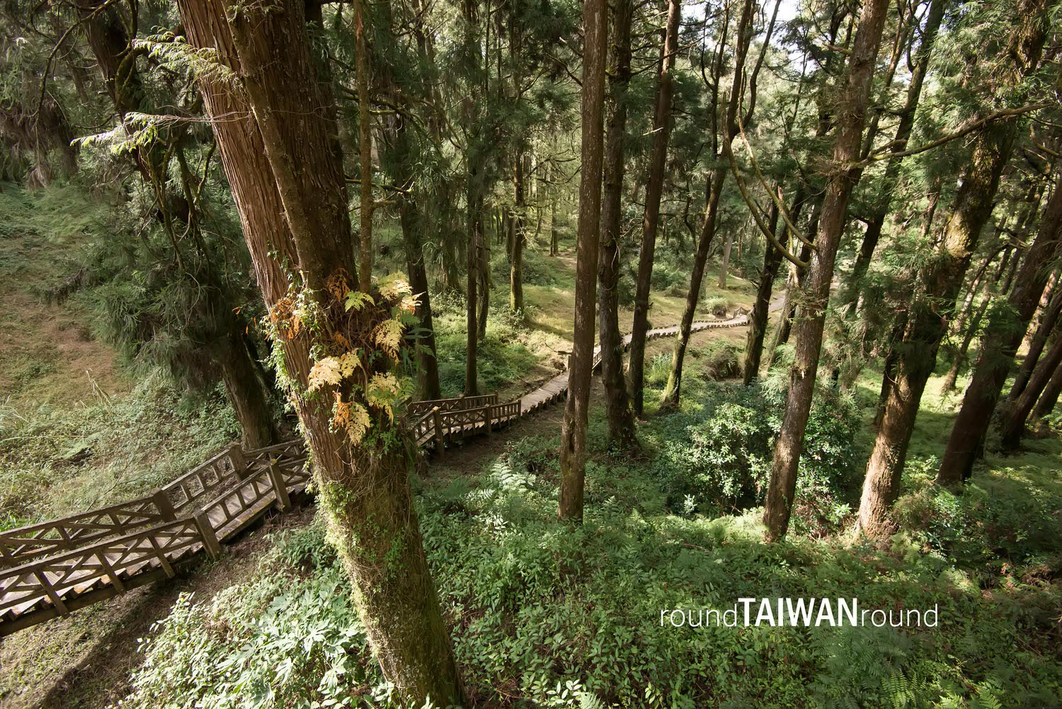 Tashan_Trail_______-008.jpg