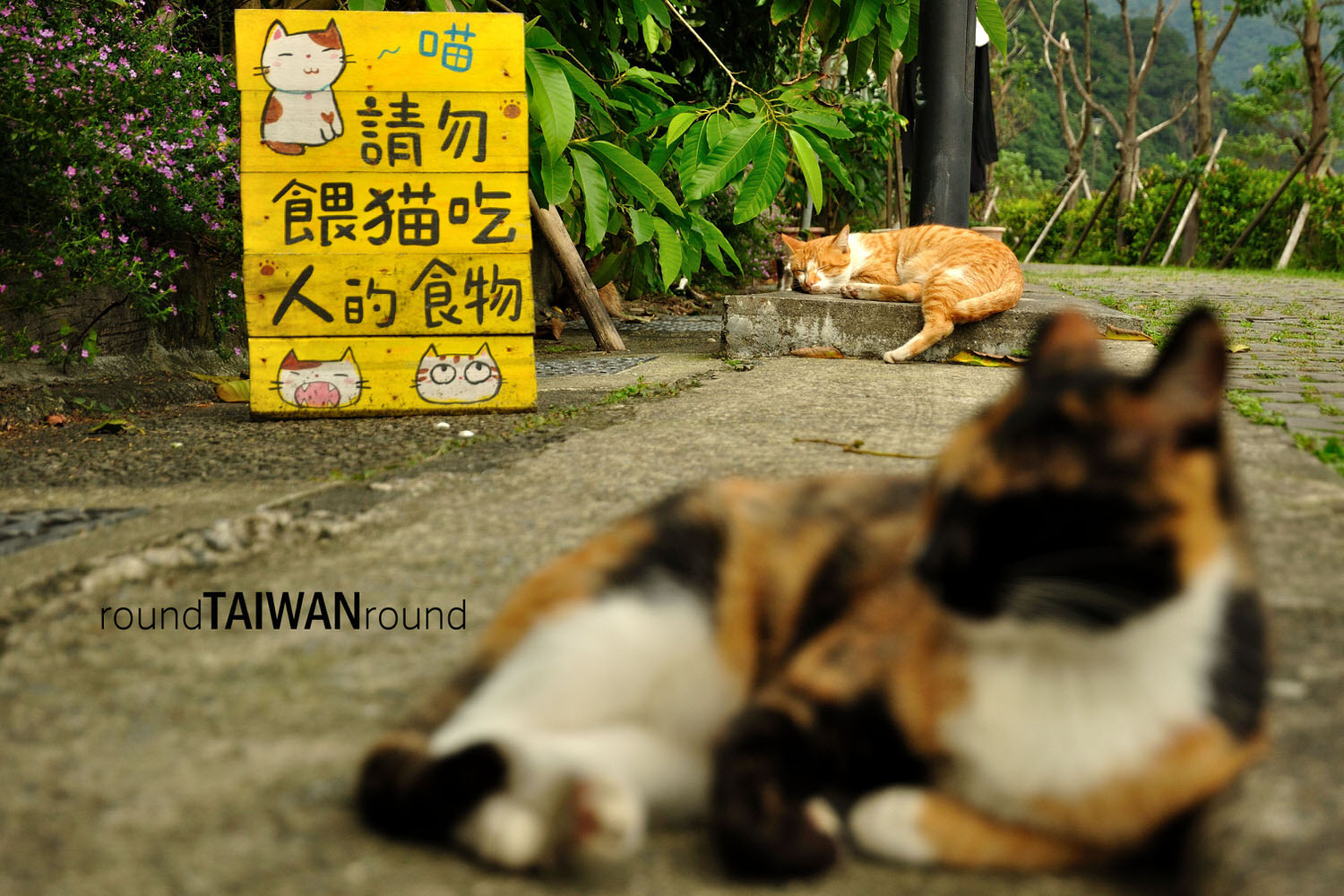 Houtong____-019.JPG