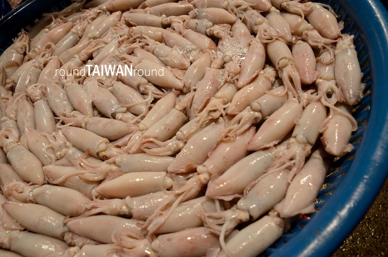 Keelung_Fish_Market__________-043.jpg