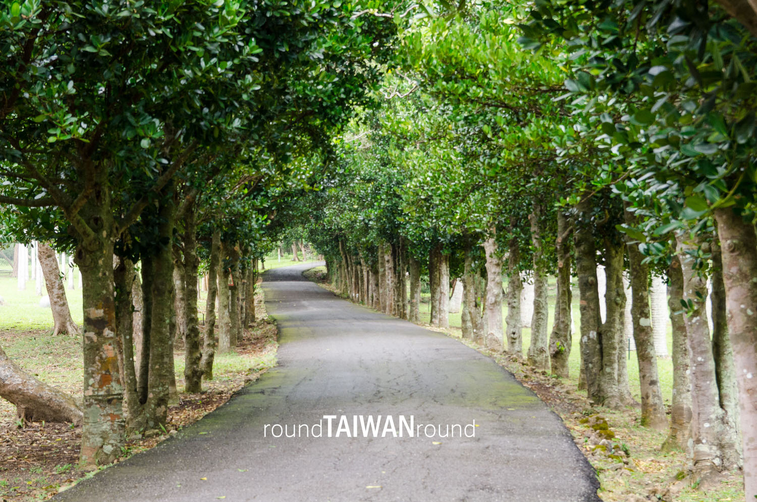 Kenting_National_Forest_Recreational_Area____________-002.jpg