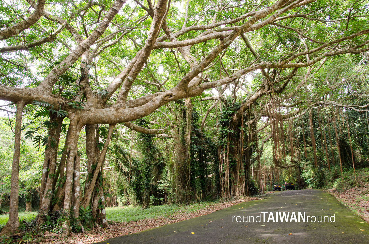 Kenting_National_Forest_Recreational_Area____________-003.jpg