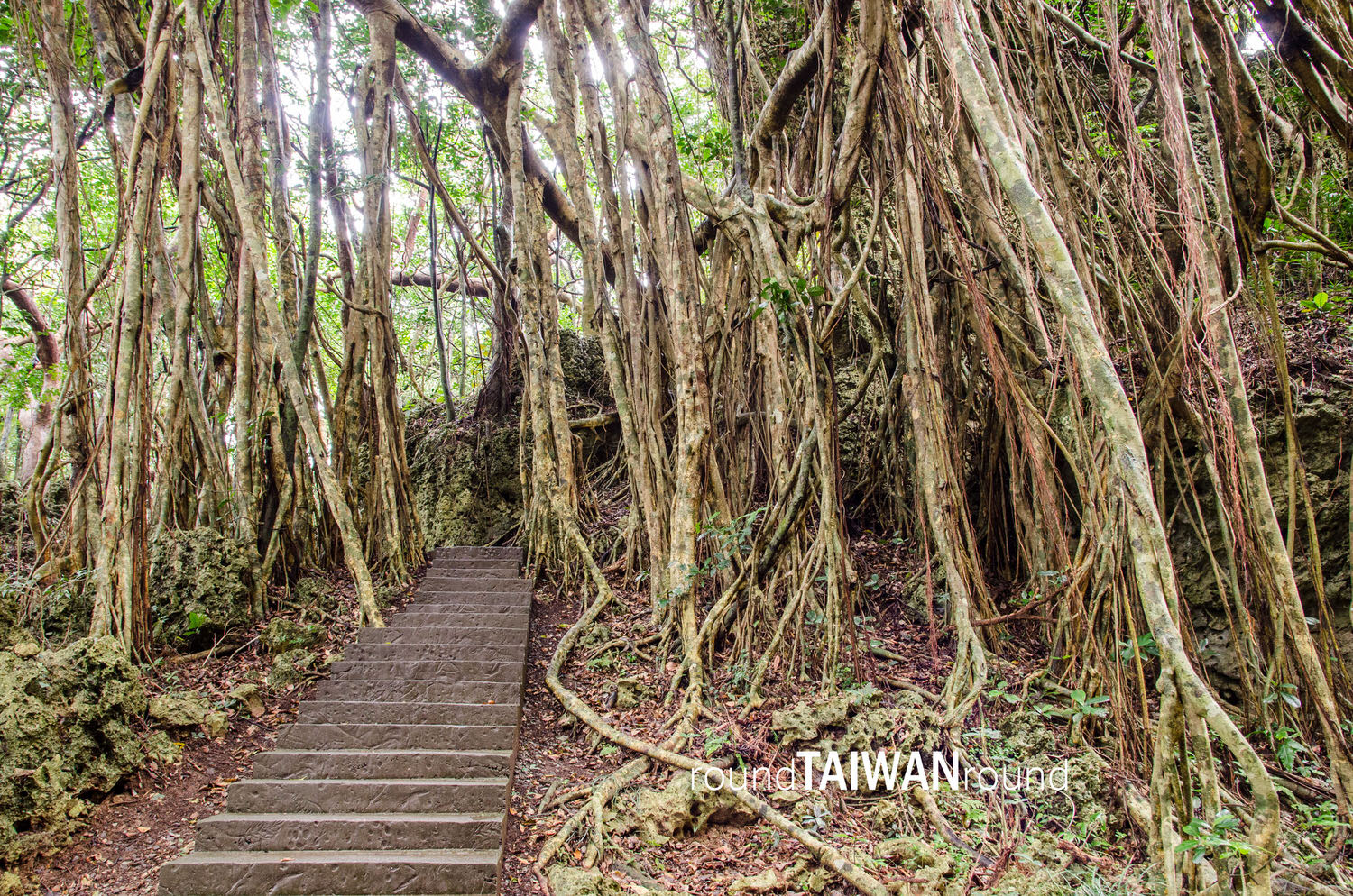 Kenting_National_Forest_Recreational_Area____________-030.jpg
