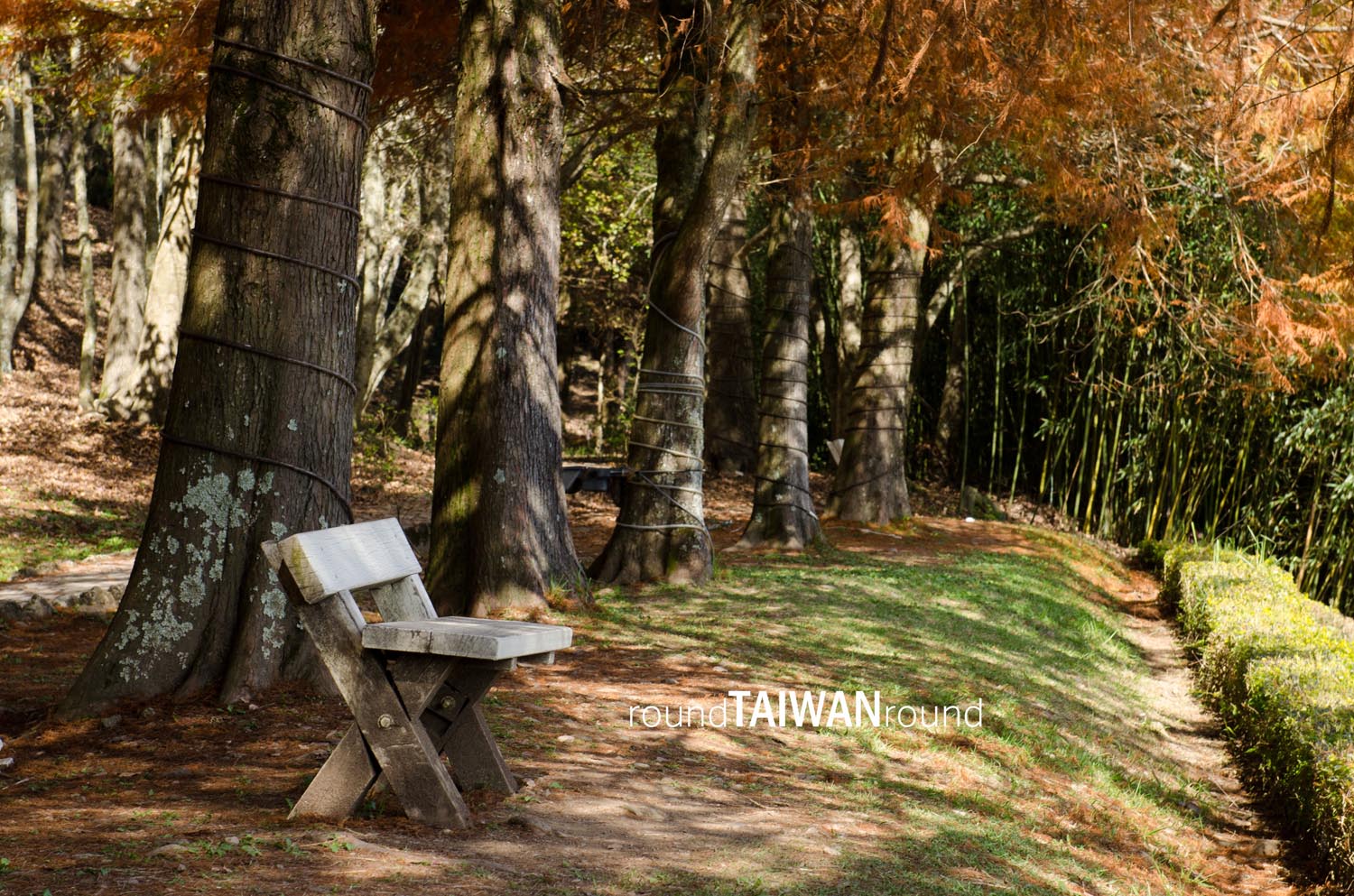 Small_Swiss_Garden________-011.jpg
