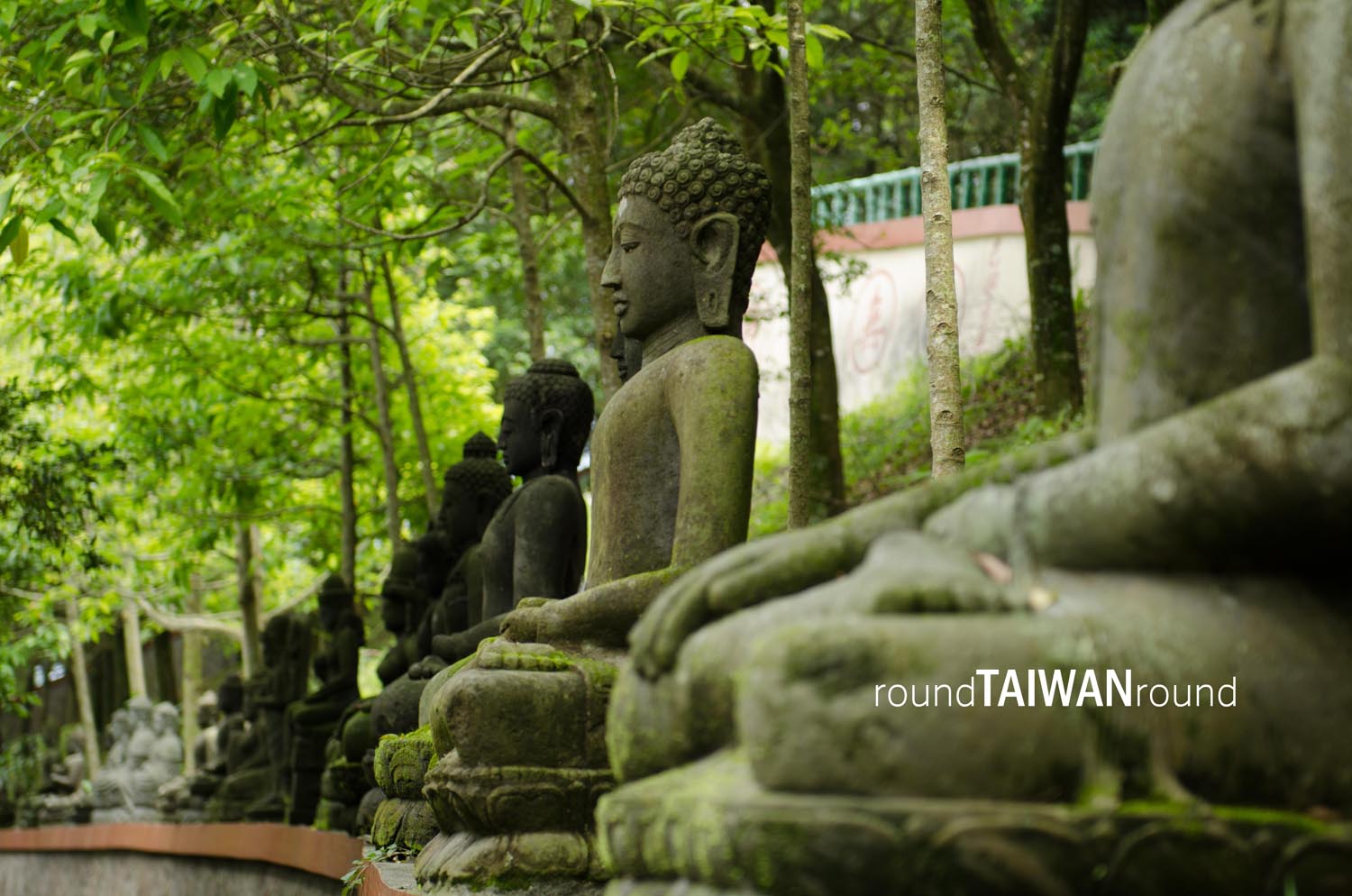 Chung_Tai_Chan_Monastery_______-012.jpg