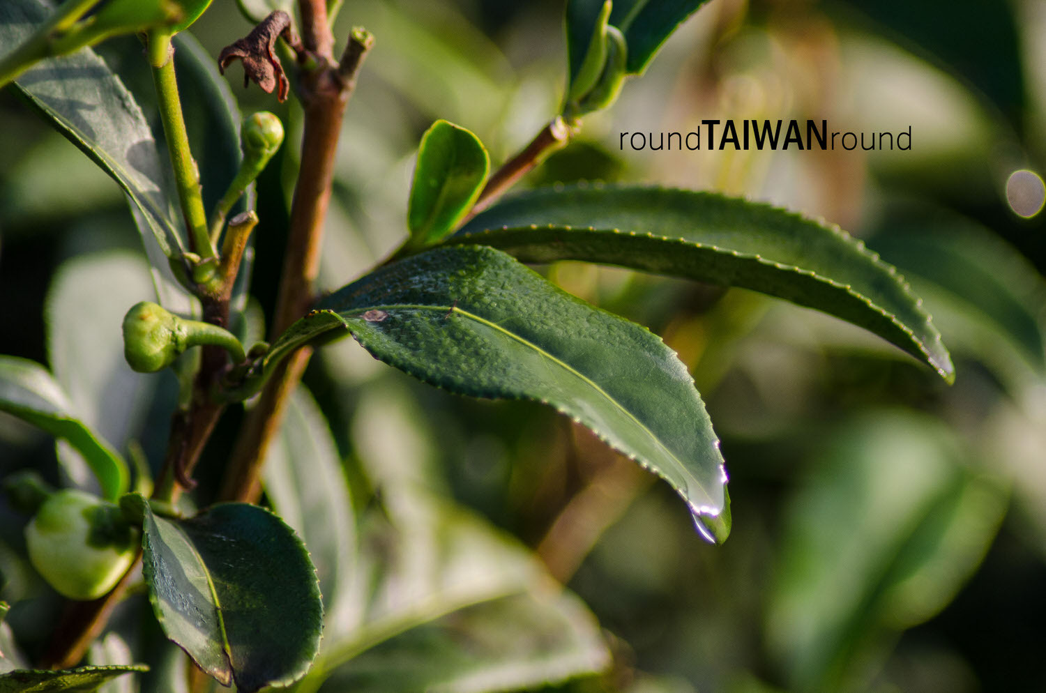 Eryanping_Trail________-037.jpg