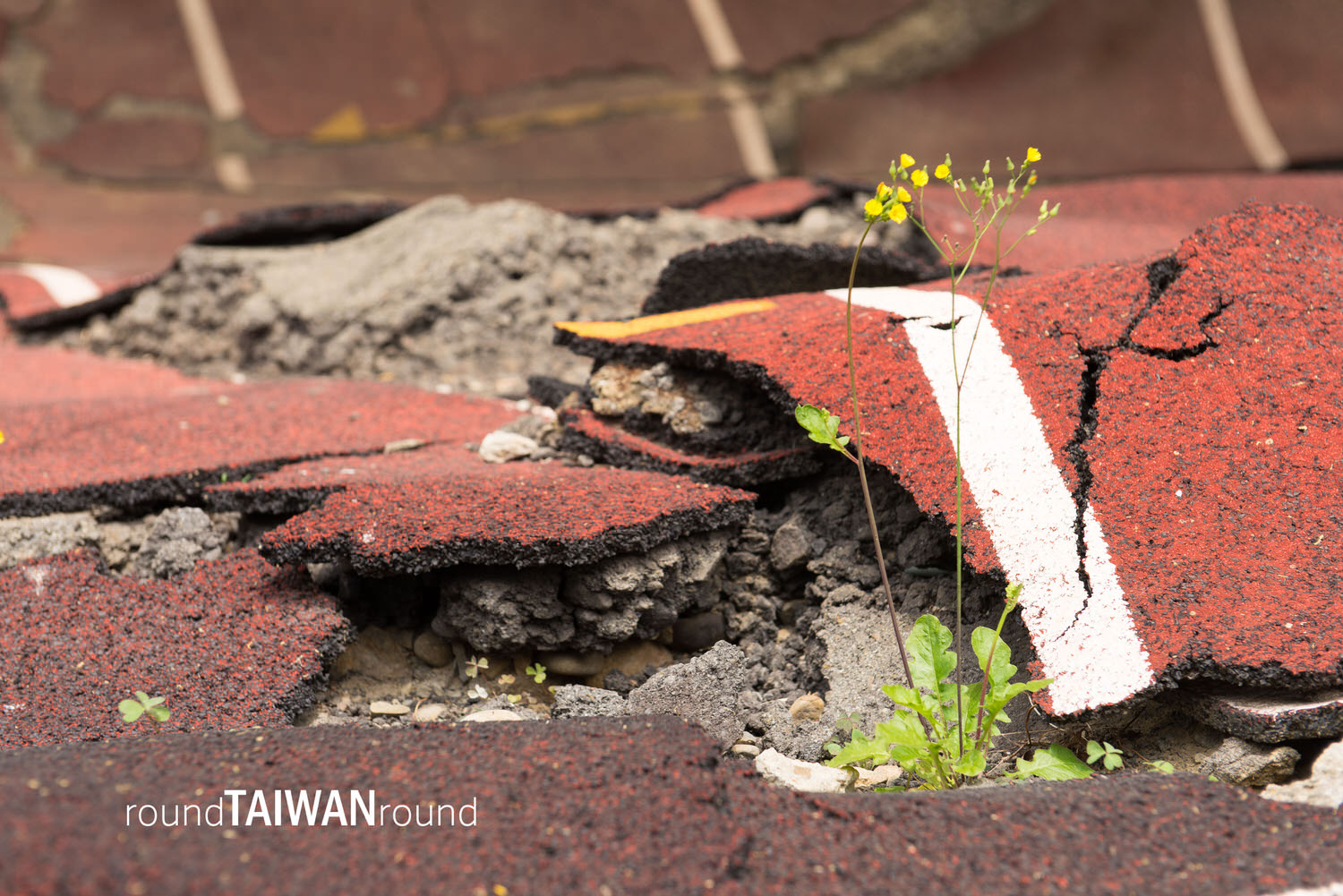 921_Earthquake_Museum_of_Taiwan__921_______-014.jpg