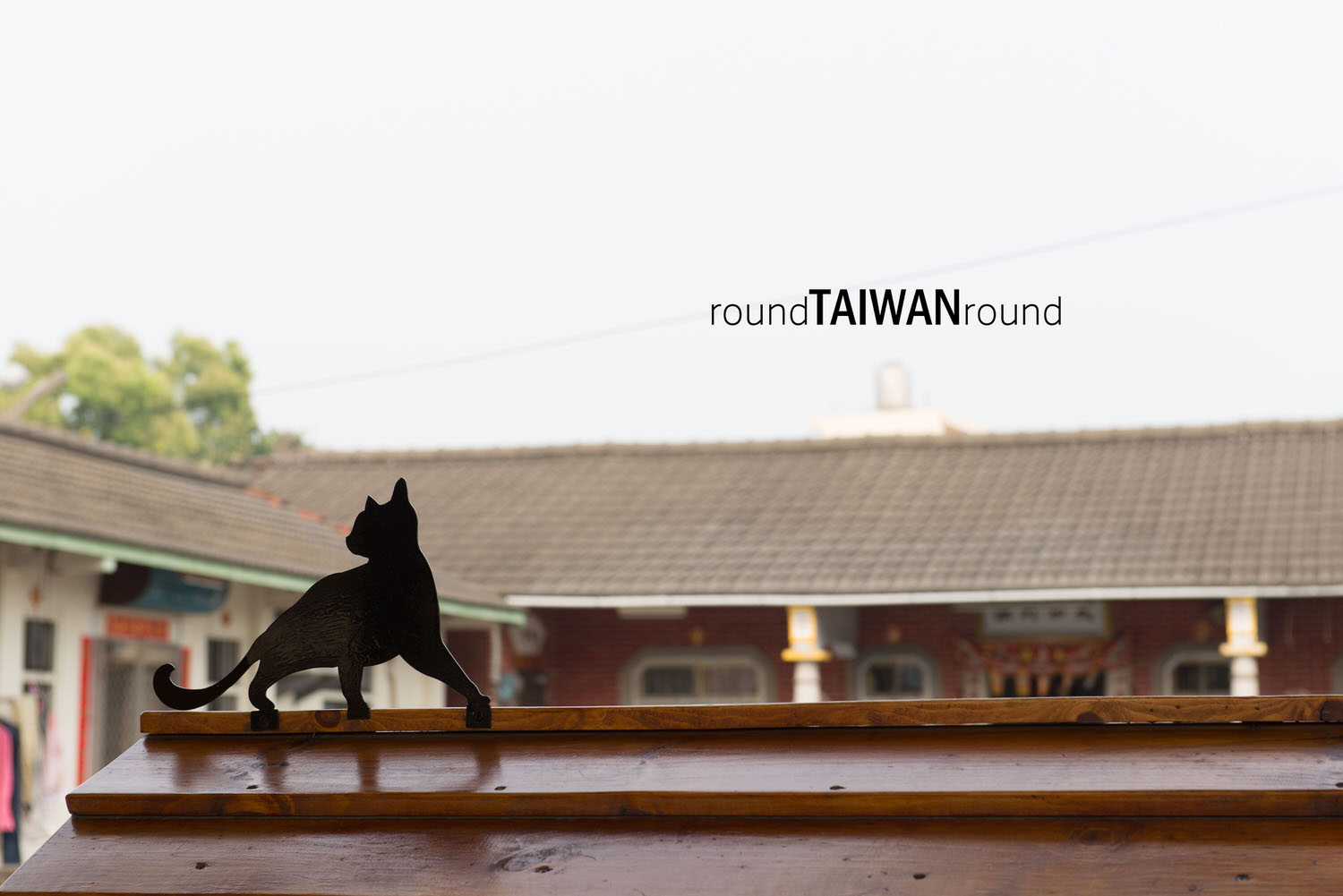 Dingxi_Colorful_Cats_Village_________-017.jpg