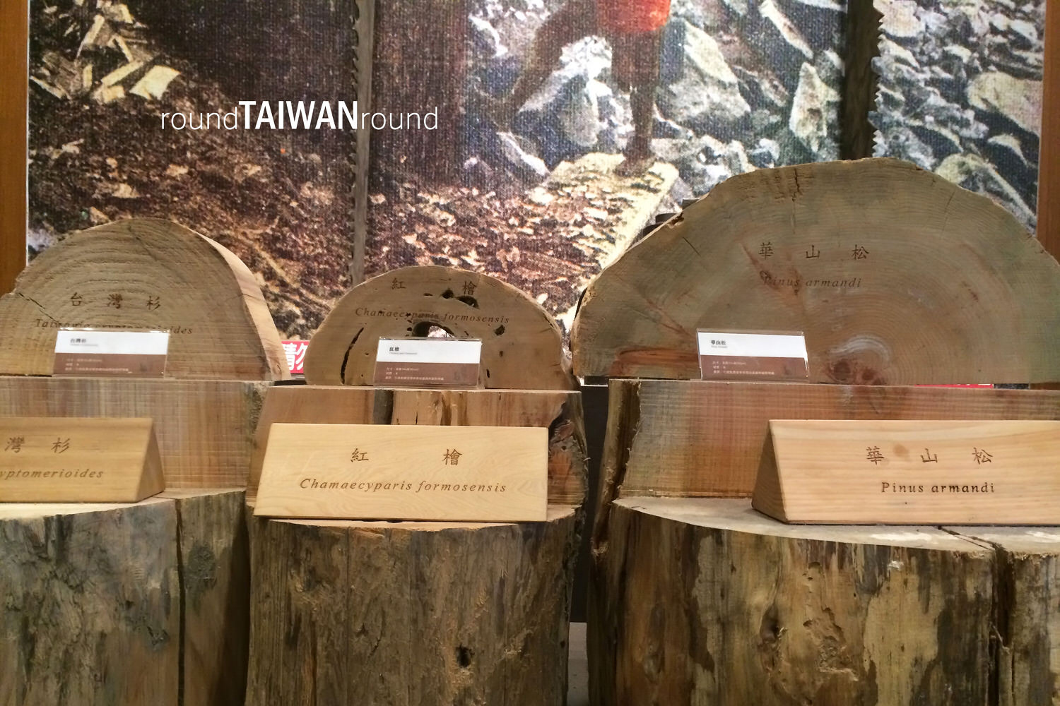 Alishan_Museum_________-003.jpg