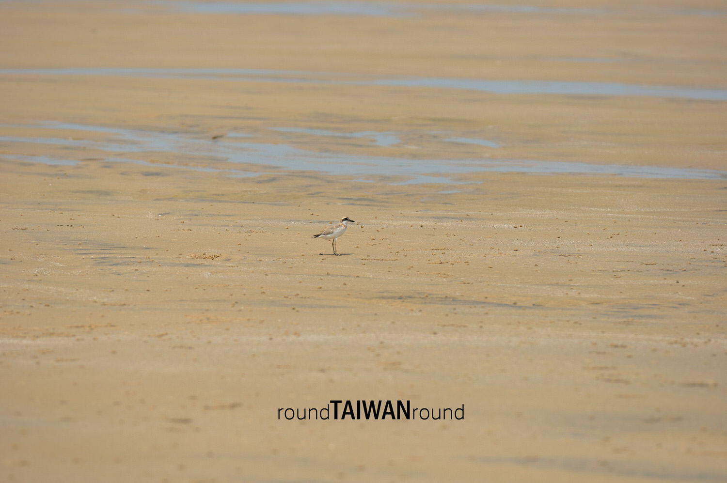 Chenggong_Beach_______-009.jpg