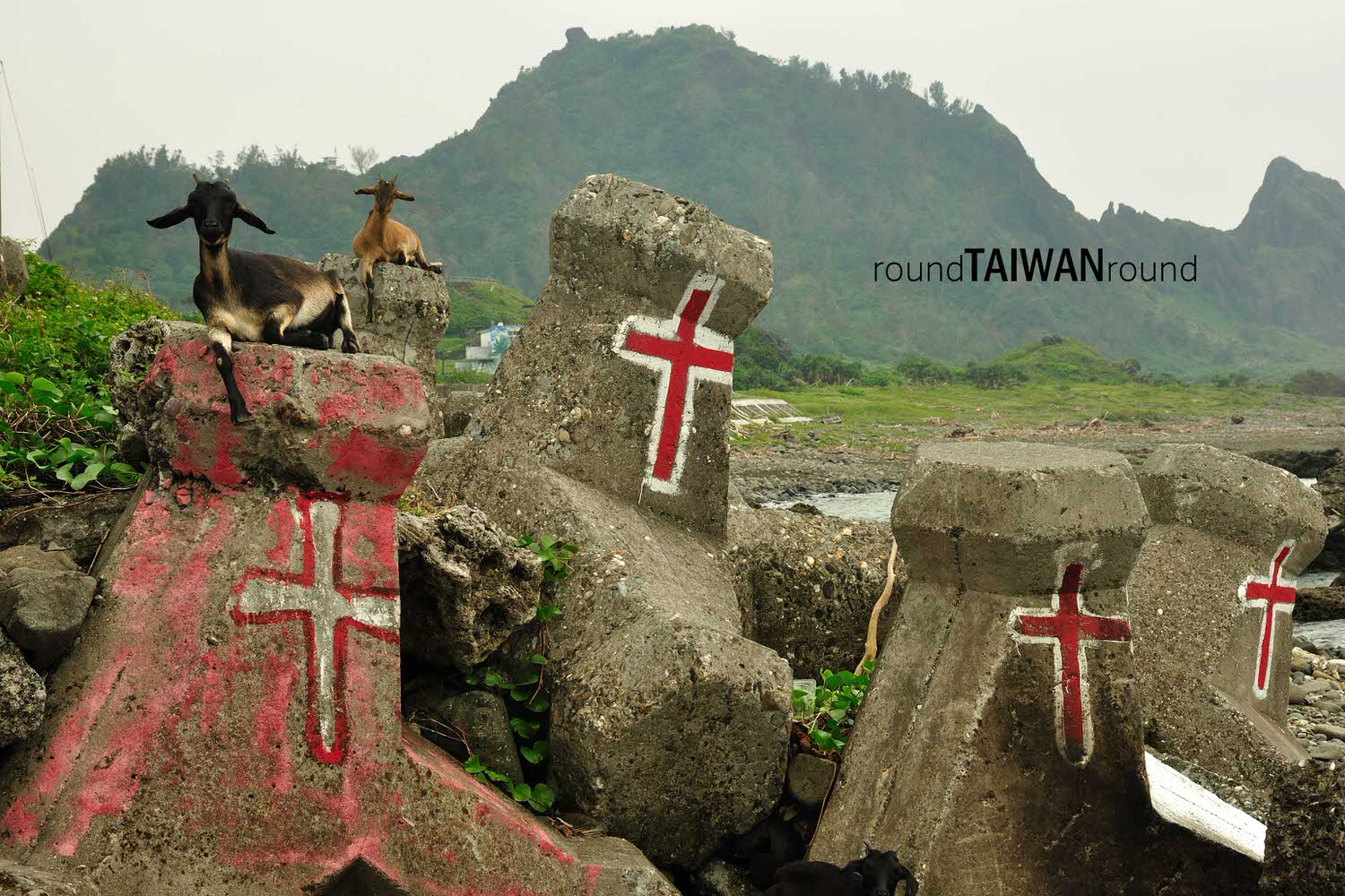 Lanyu_____-102.JPG