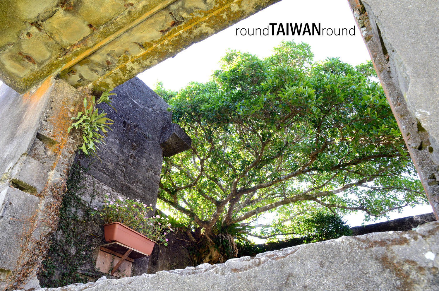 Lanyu_____-206.jpg