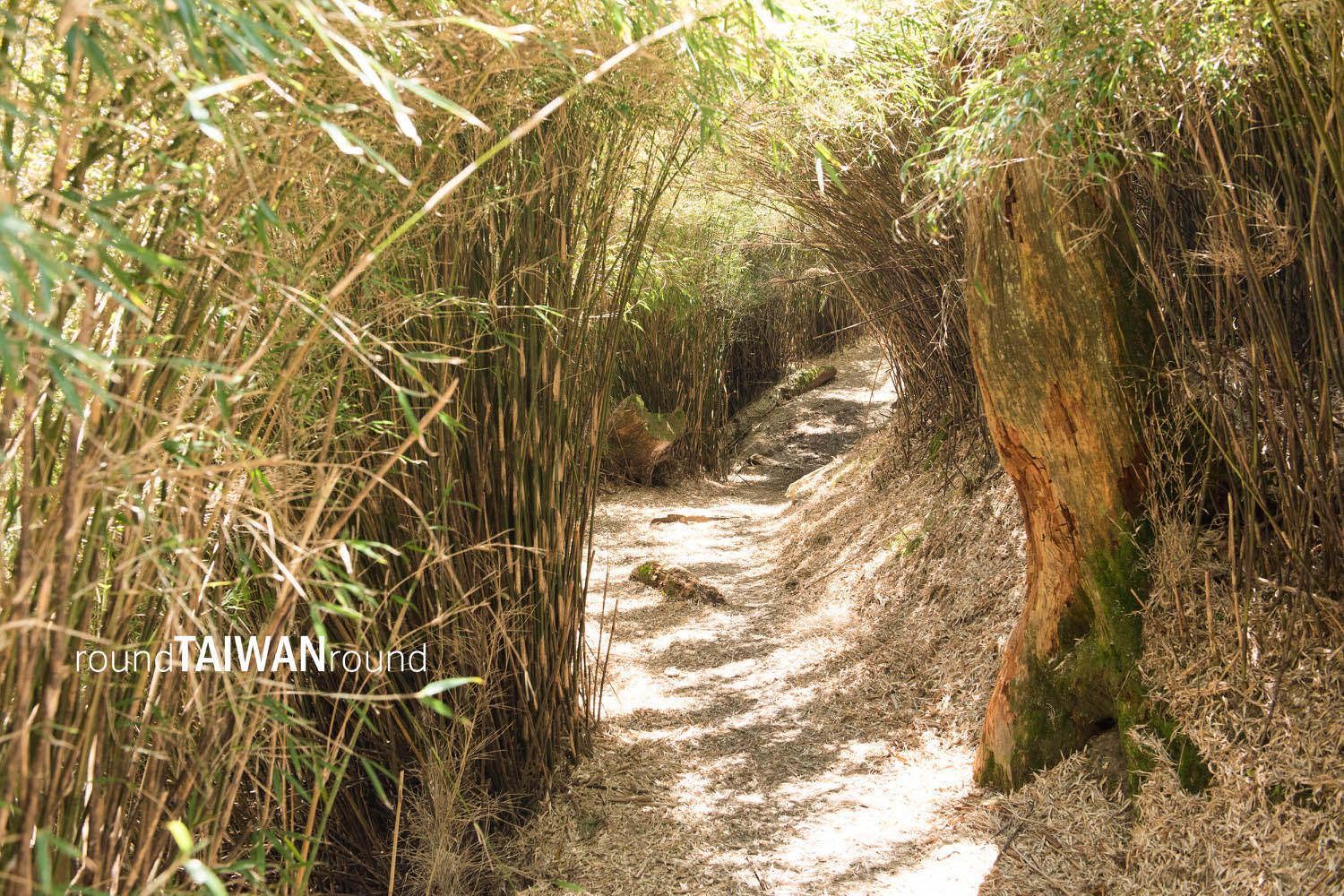 Little_Chilai______-040-1.jpg