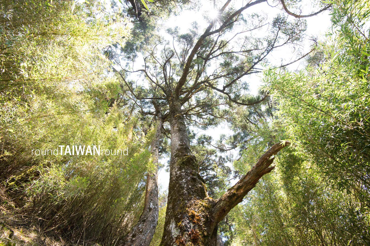 Little_Chilai______-046-1.jpg