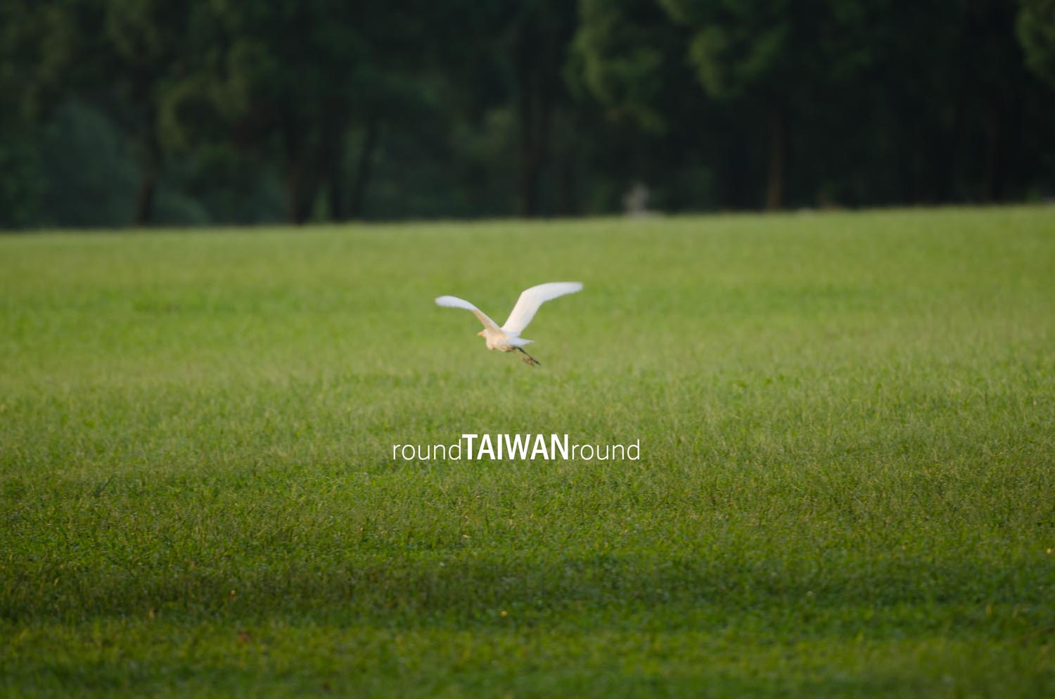 Taiwan_Adventist_College_________-008.jpg
