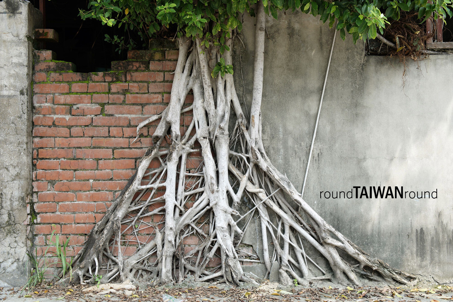 Taichung_Butokuden___________-009.JPG