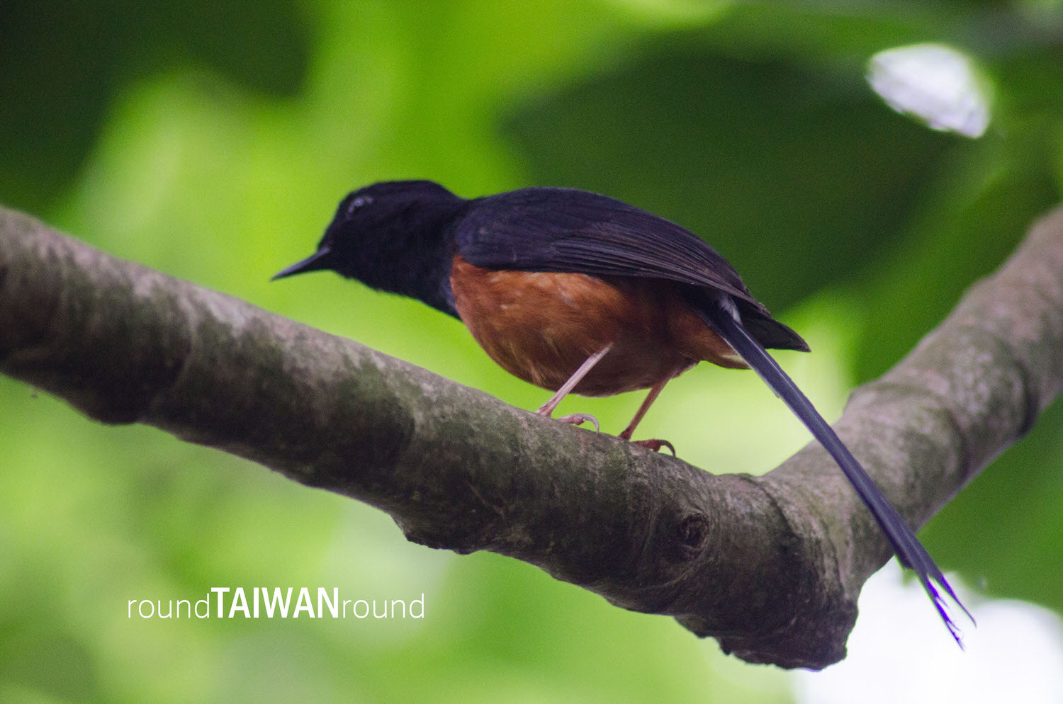 Shoushan_National_Nature_Park___________-035.jpg