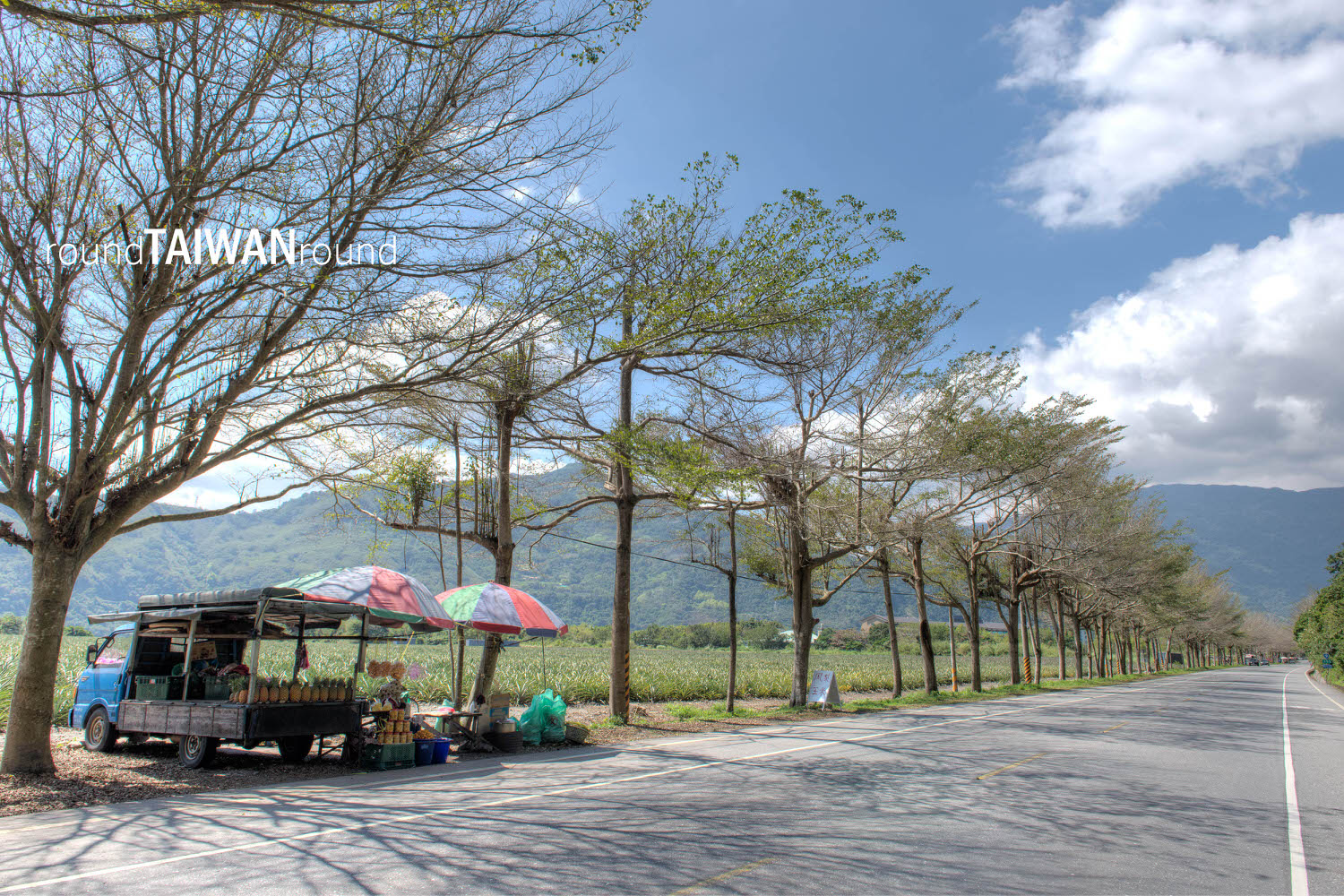Provincial_Highway_9___9__-020.jpg