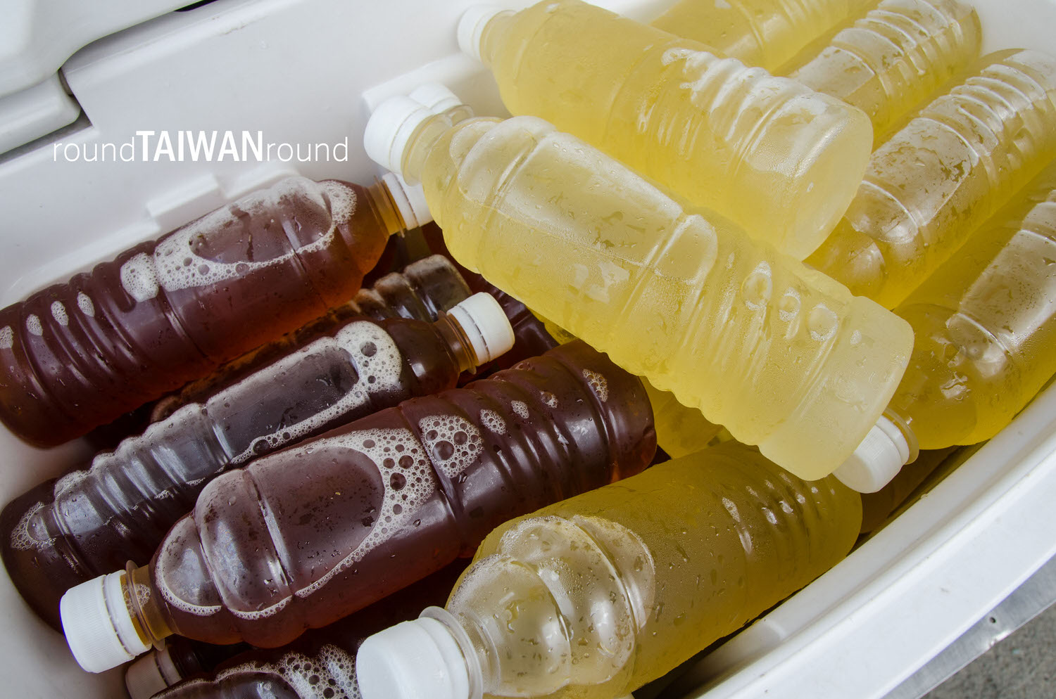 Bagua_Tea_Fields_______-034.jpg