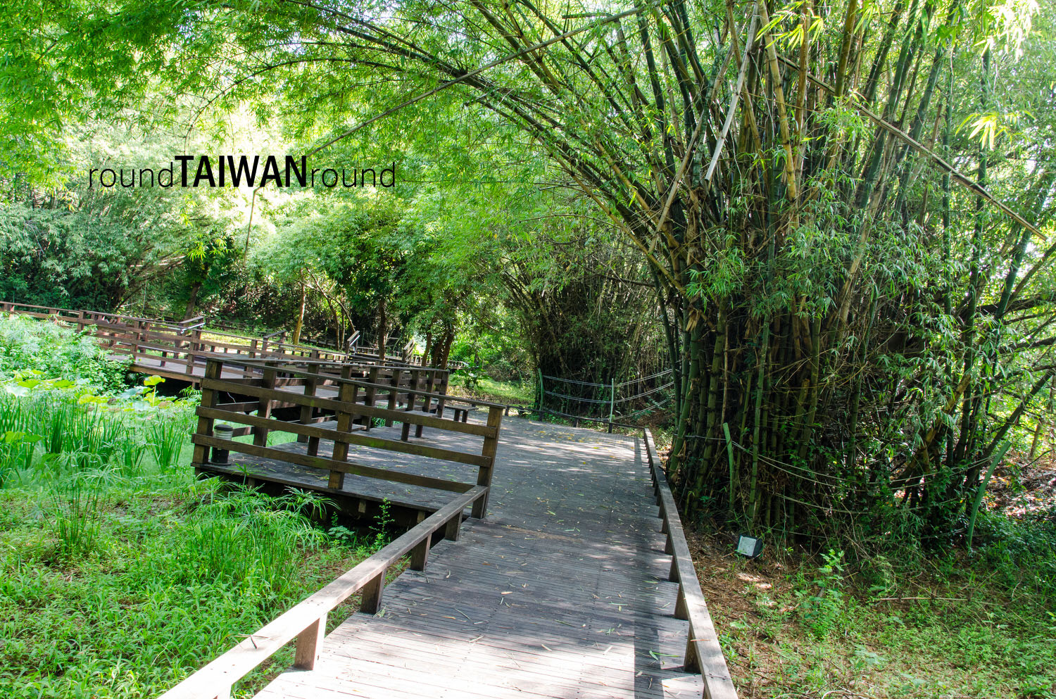 Bamboo_Trail_______-007.jpg