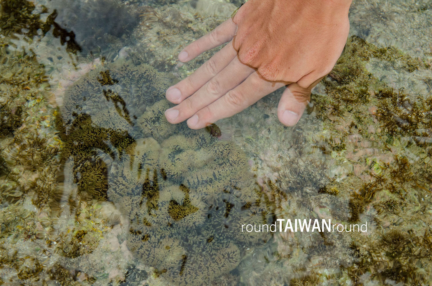 Intertidal-Zone_Guiding________-033.jpg