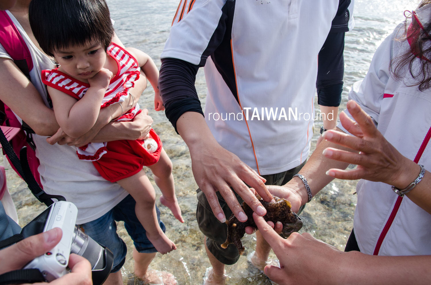 Intertidal-Zone_Guiding________-003.jpg