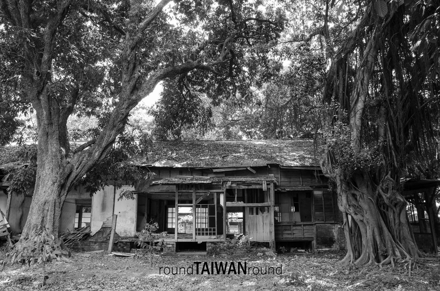 Taisugar_in_Huwei_______-012.jpg