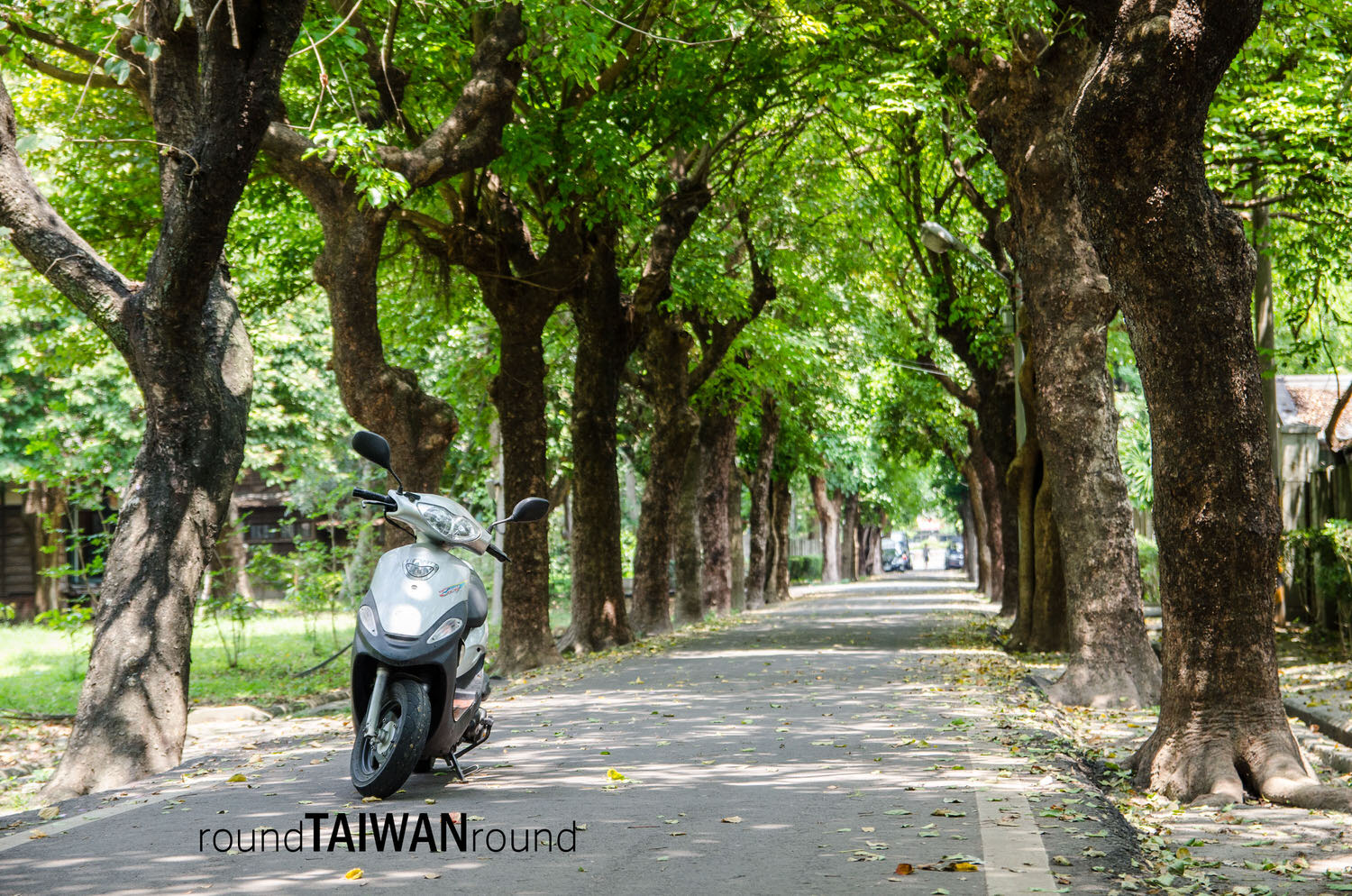 Taisugar_in_Huwei_______-027.jpg