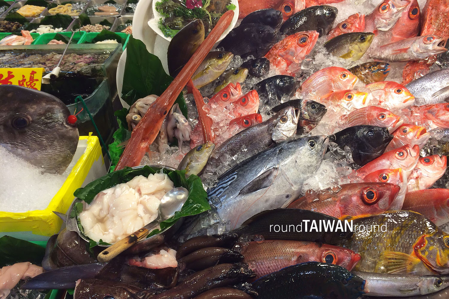 Liaoning_Night_Market_______-023.jpg