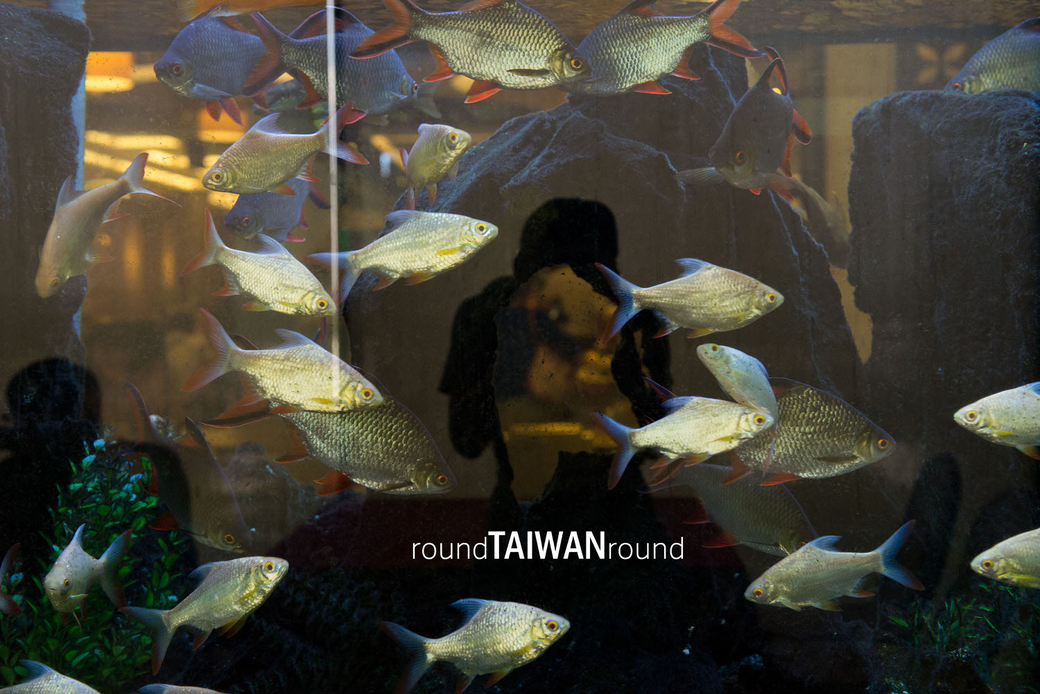 Hot_Fish_Port_______-006.jpg