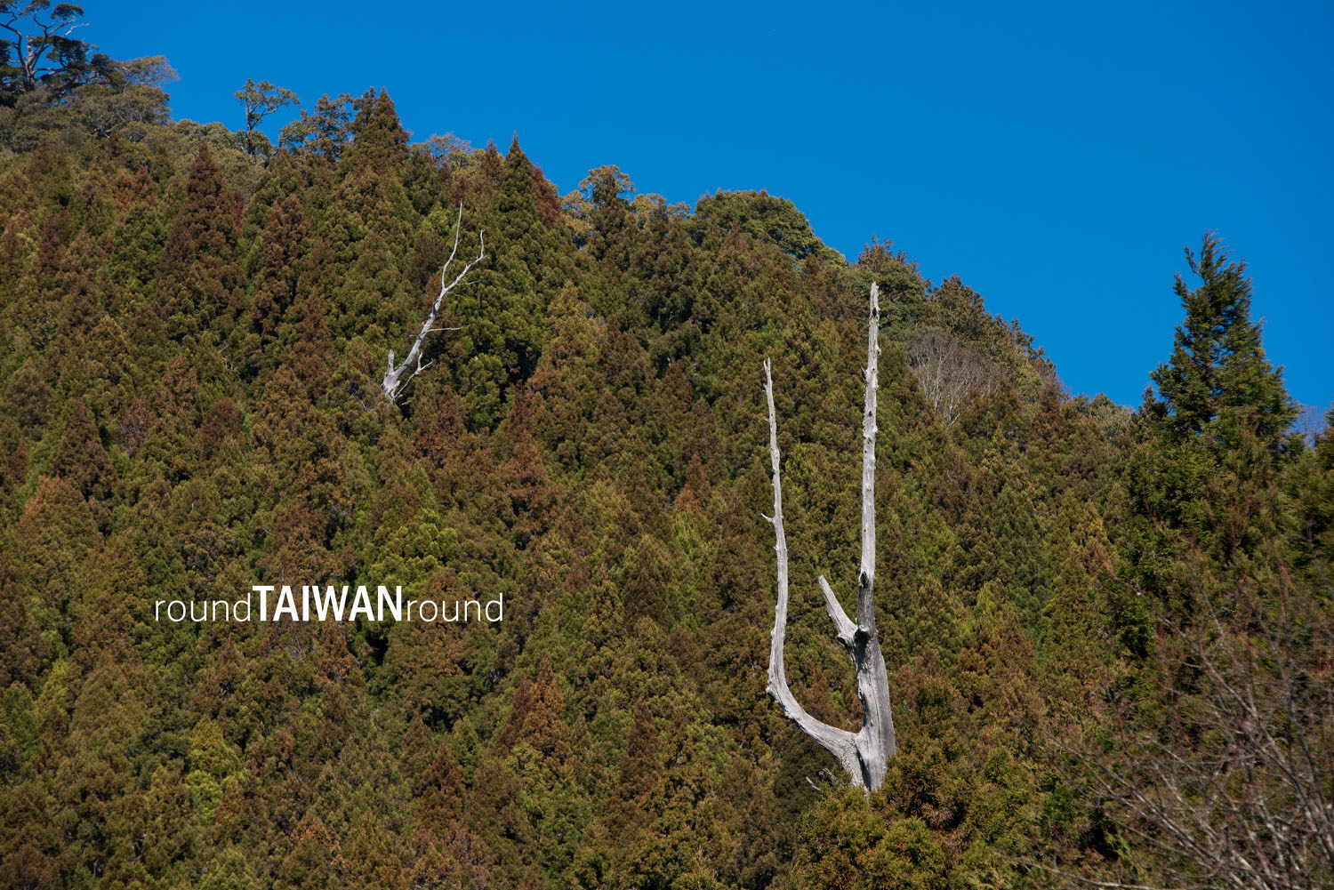 Provincial_Highway_21___21__-006.jpg
