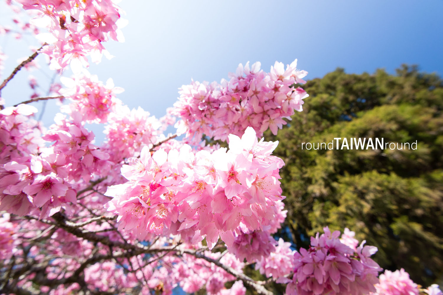Alishan_Youth_Activity_Center____________-009.jpg