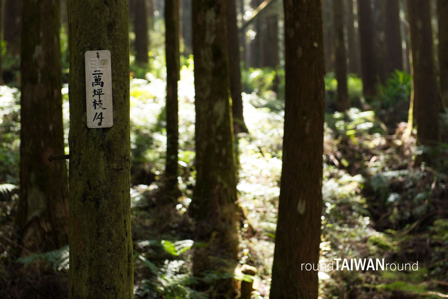 Erwanping______-008.jpg