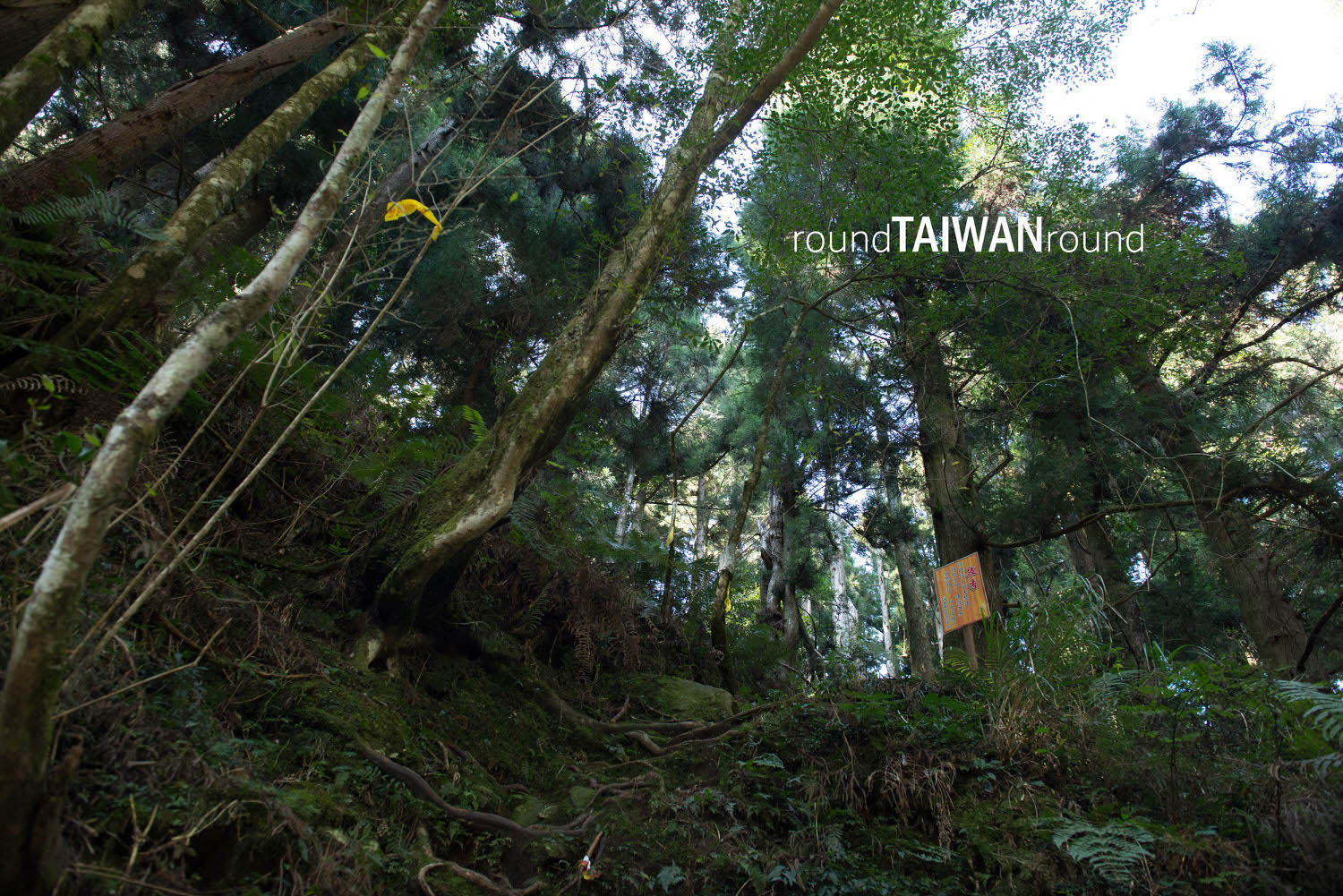 Tefuye_Old_Trail________-003.jpg