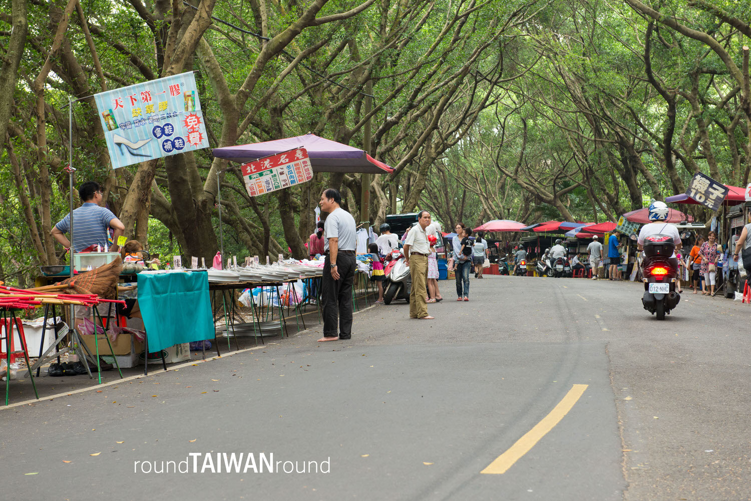Tiger_Mountain_Park________-012.jpg