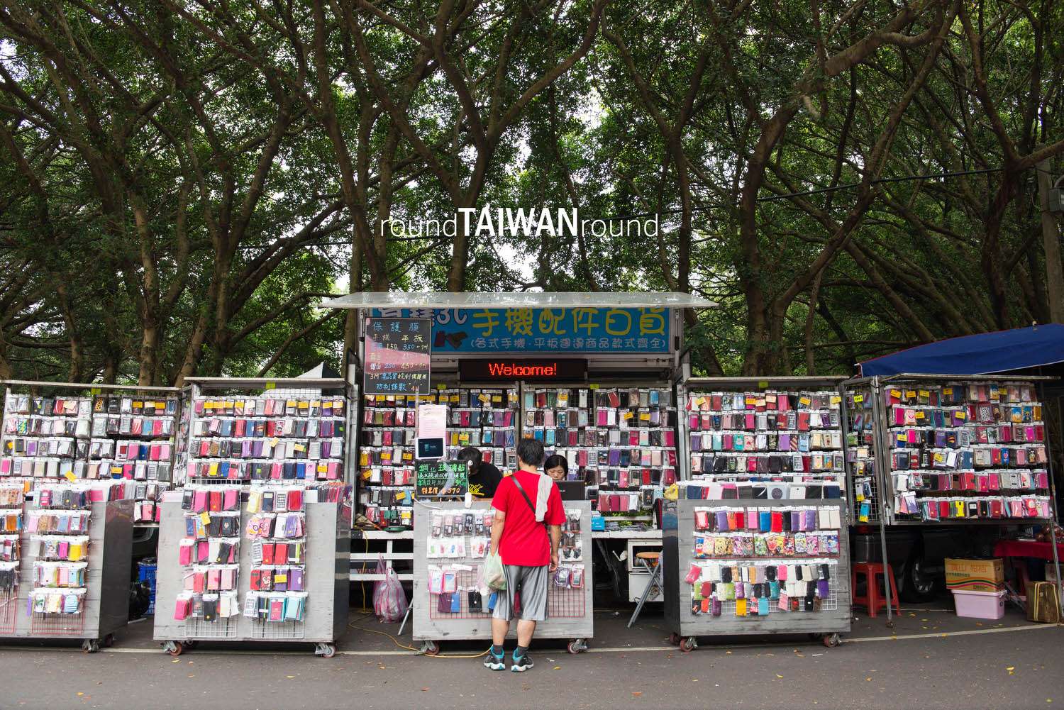 Tiger_Mountain_Park________-011.jpg