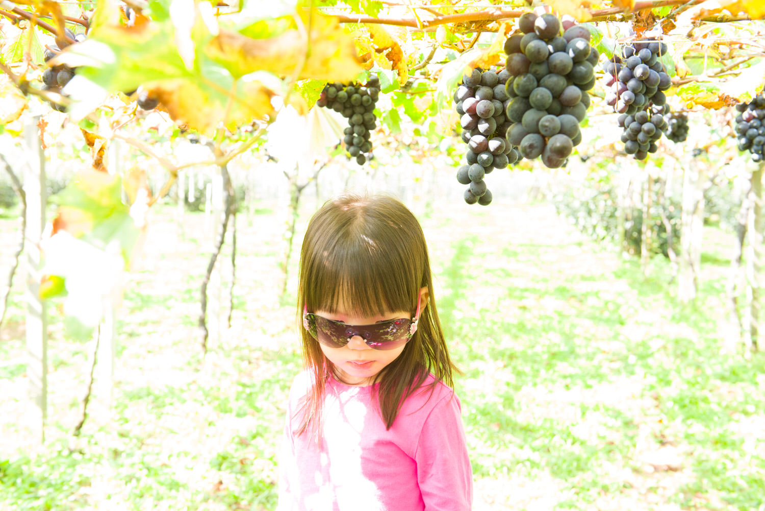 Xinfeng_Farm_______-032.jpg