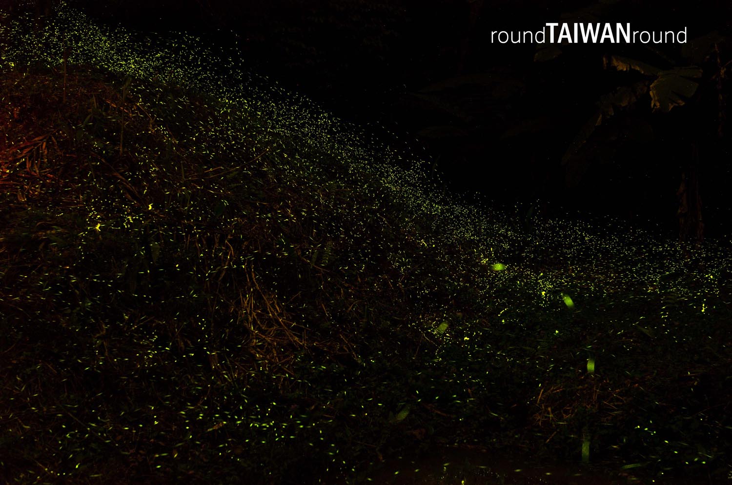 Dongshi_Forest_Garden_______-001.jpg