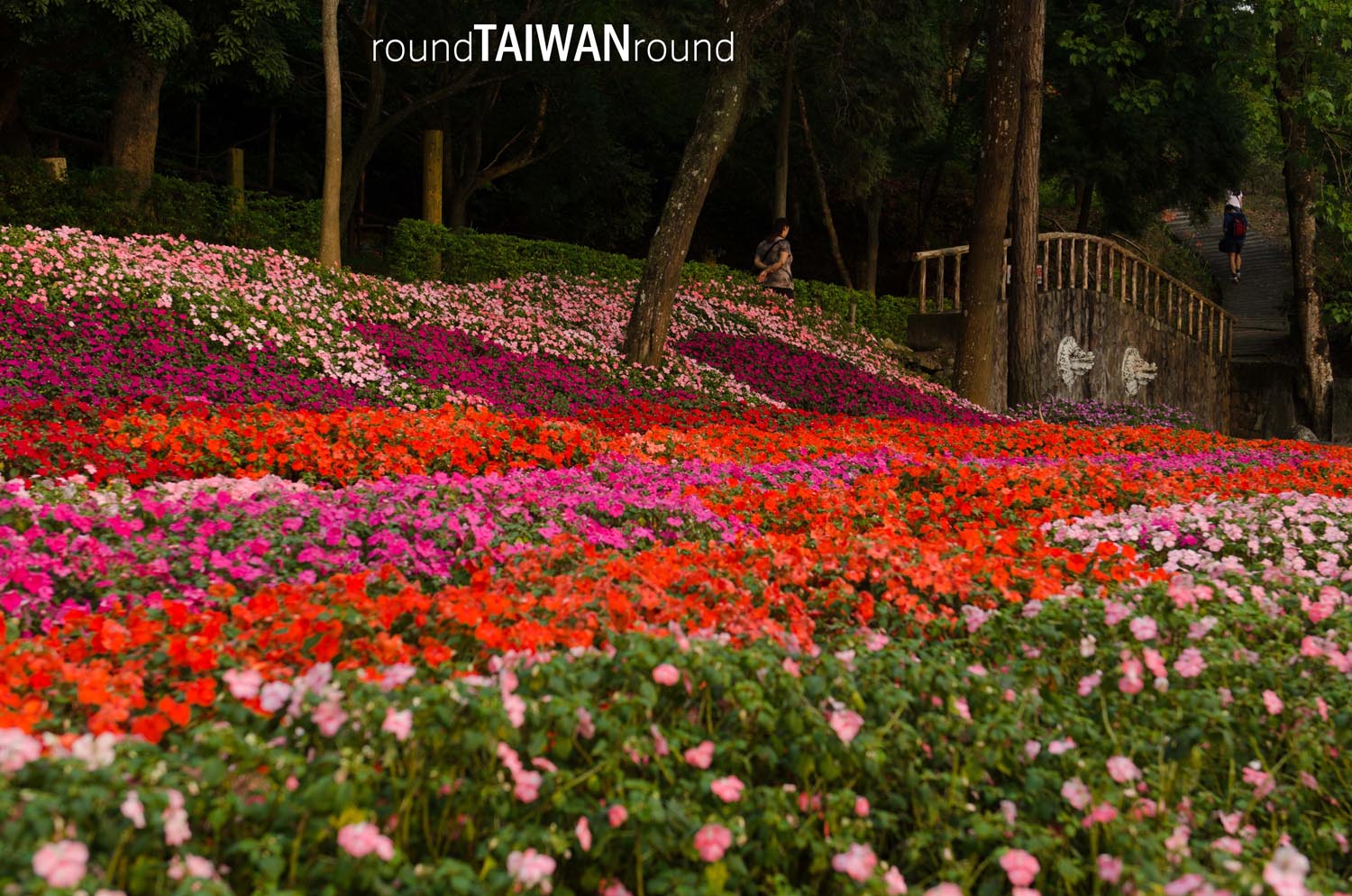 Dongshi_Forest_Garden_______-005.jpg