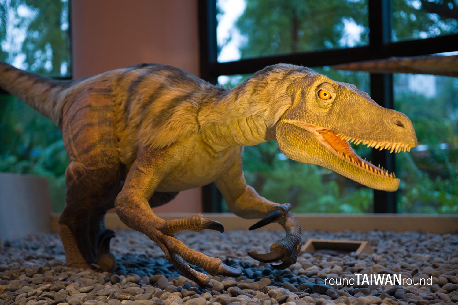 National_Museum_of_Natural_Science____________-015.jpg