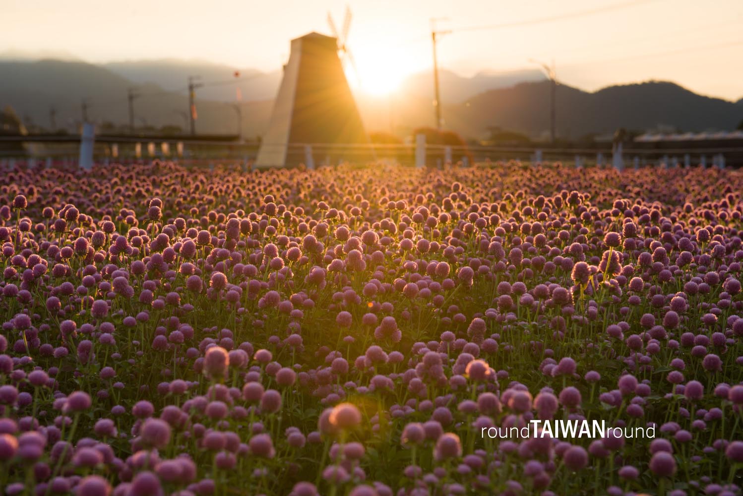 Xinshe_Sea_of_Flowers_______-008.jpg