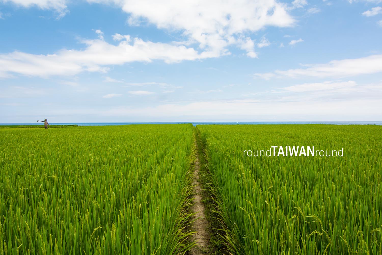 Xinshe_Coastal_Rice_Terrances_________-014.jpg